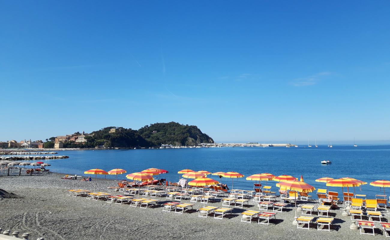 Spiaggia per cani'in fotoğrafı gri ince çakıl taş yüzey ile