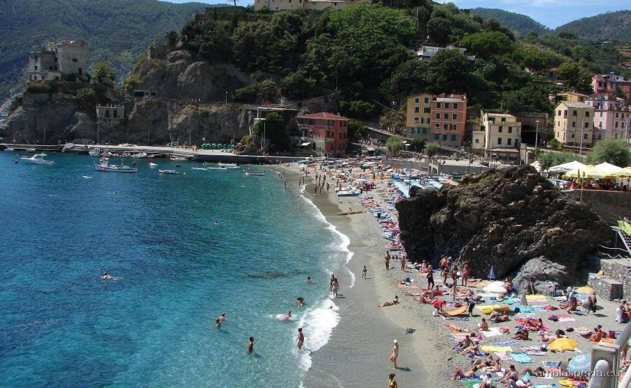 Tiburon beach'in fotoğrafı koyu i̇nce çakıl yüzey ile