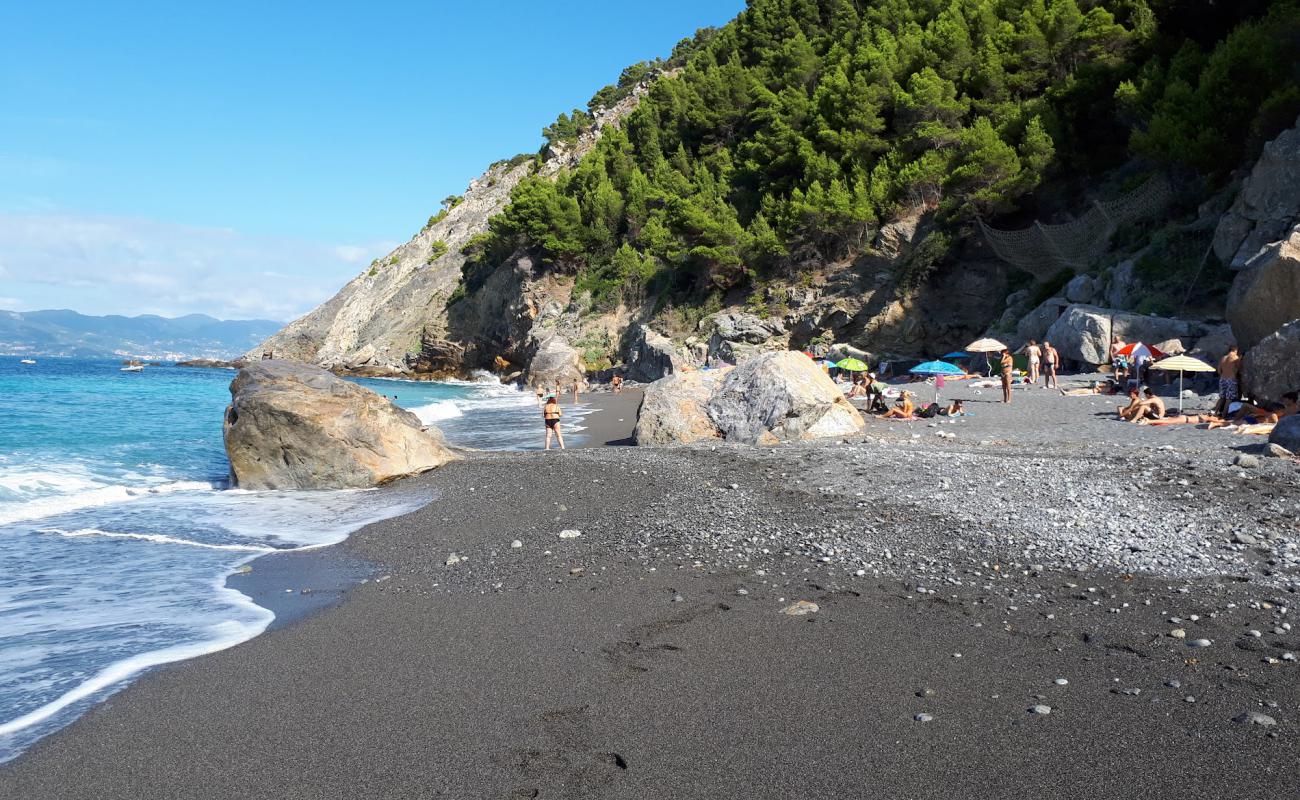 Puntacorvo beach'in fotoğrafı siyah kum ve çakıl yüzey ile