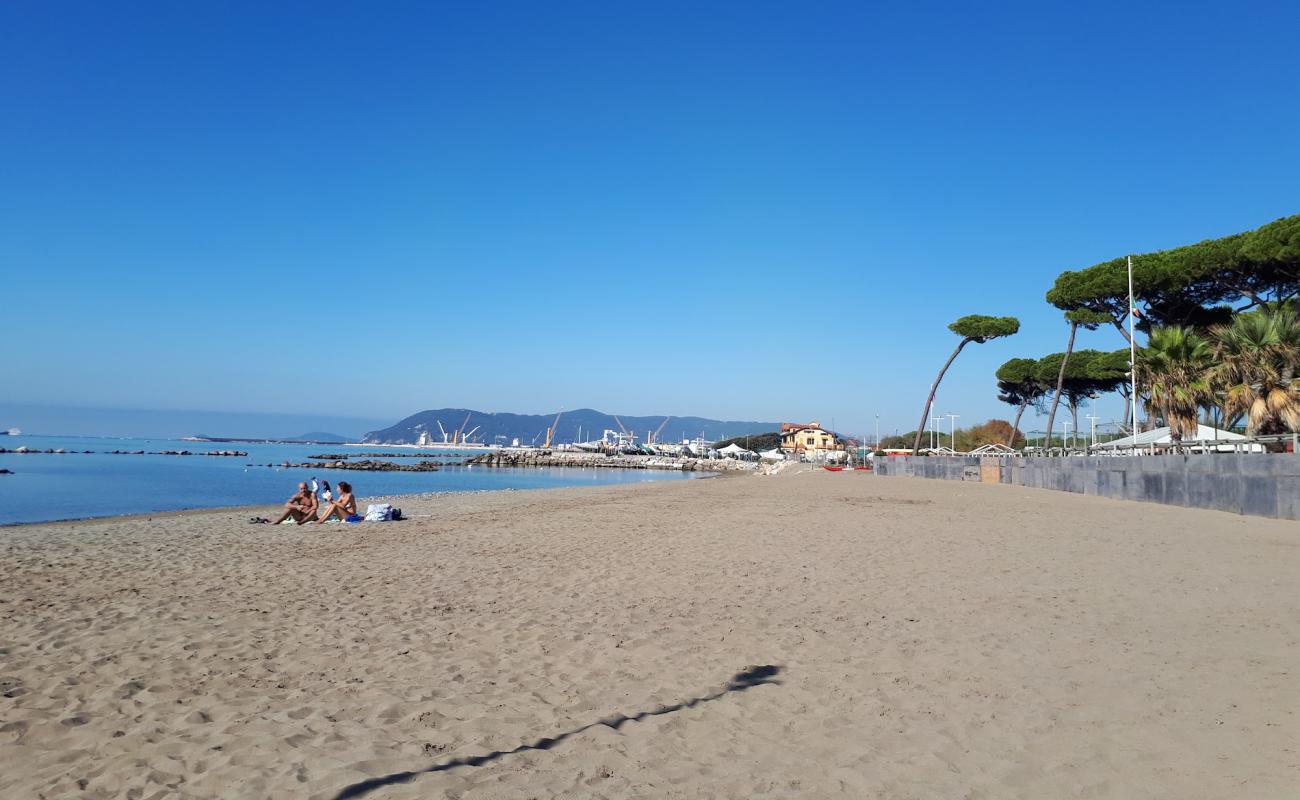 Marina di Massa'in fotoğrafı kahverengi kum yüzey ile