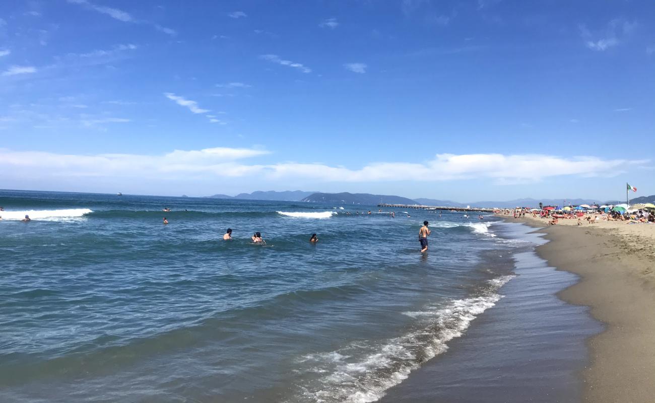 Spiaggia Le Dune'in fotoğrafı açık bej kum yüzey ile