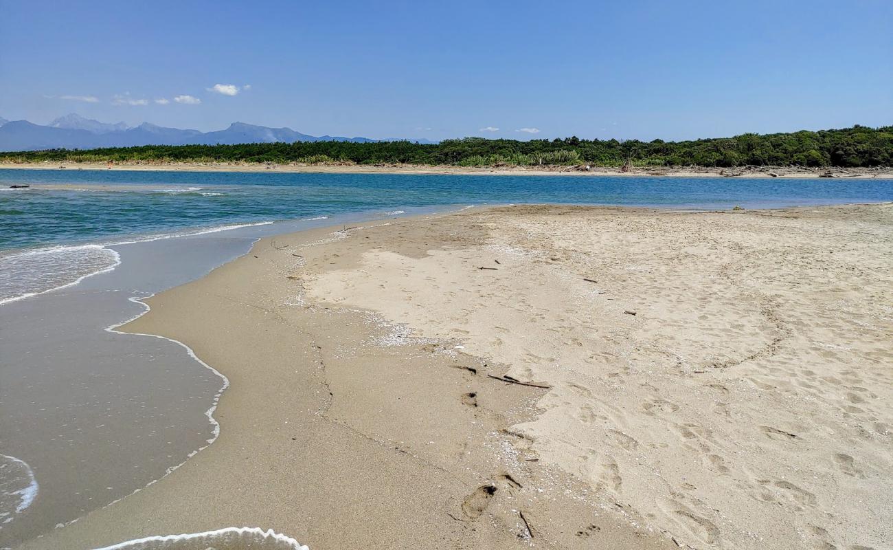 Spiaggia del Serpente'in fotoğrafı açık bej kum yüzey ile