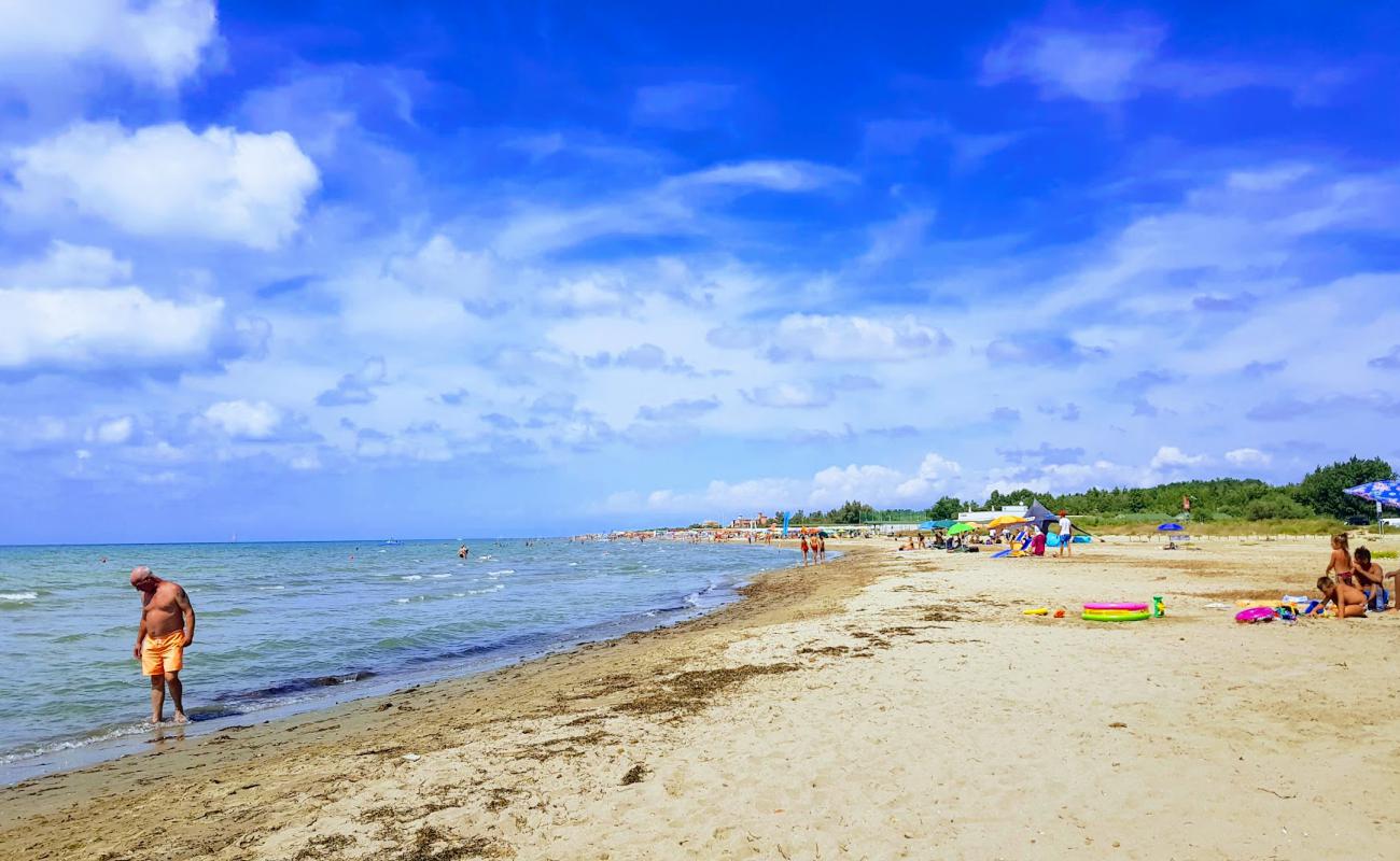 Calambrone dog beach'in fotoğrafı açık bej kum yüzey ile