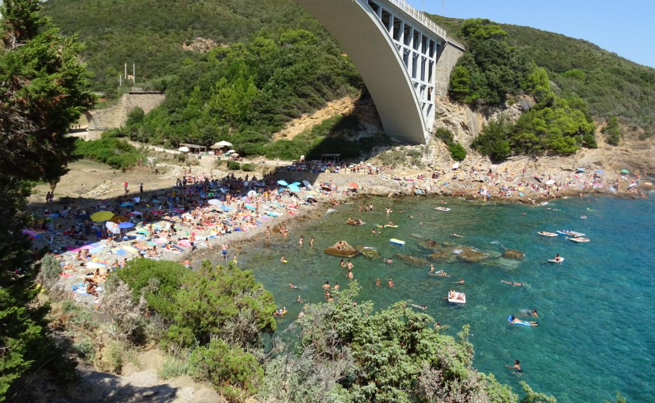 Calignaia Beach'in fotoğrafı kayalık arazi yüzey ile