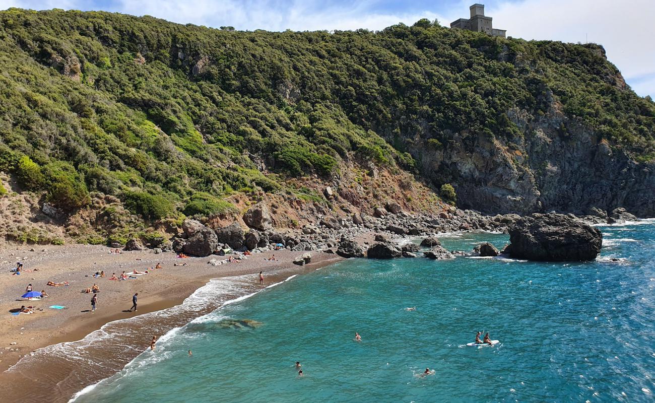 Cala del Leone'in fotoğrafı gri ince çakıl taş yüzey ile