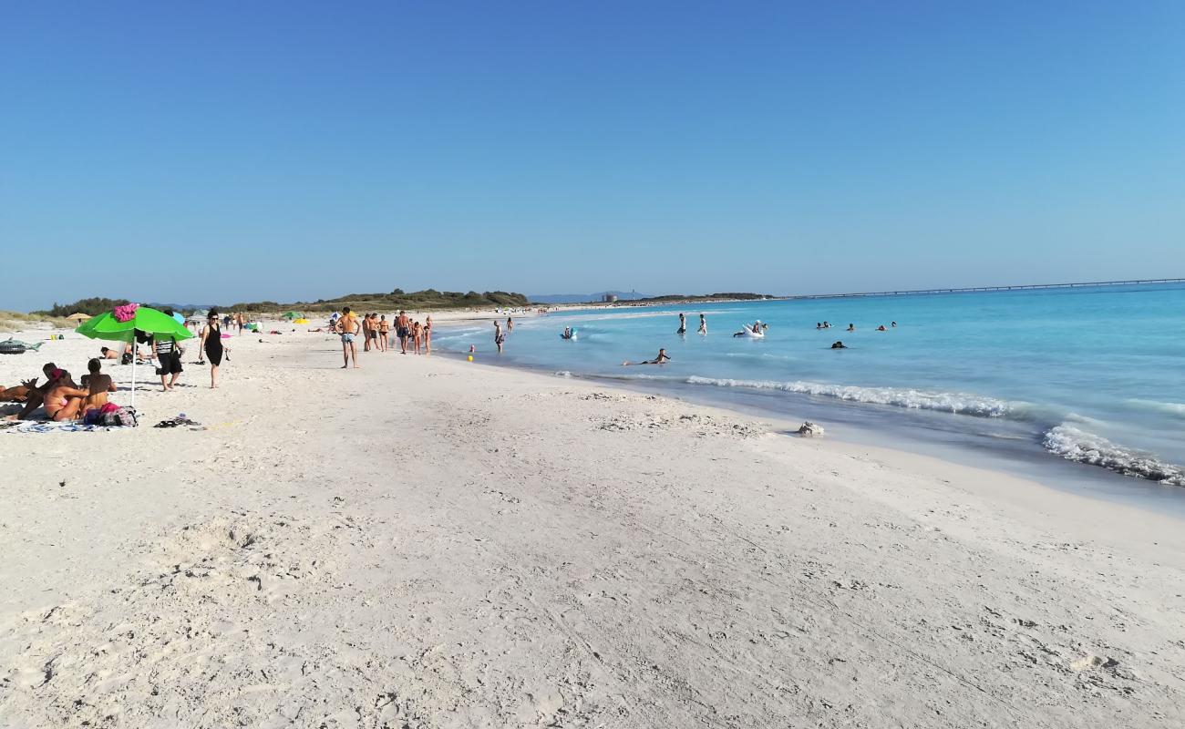 Rosignano Solvay spiaggia bianche'in fotoğrafı parlak ince kum yüzey ile