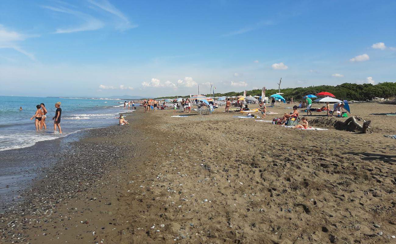 Spiaggia di Marina di Bibbona'in fotoğrafı kahverengi kum yüzey ile