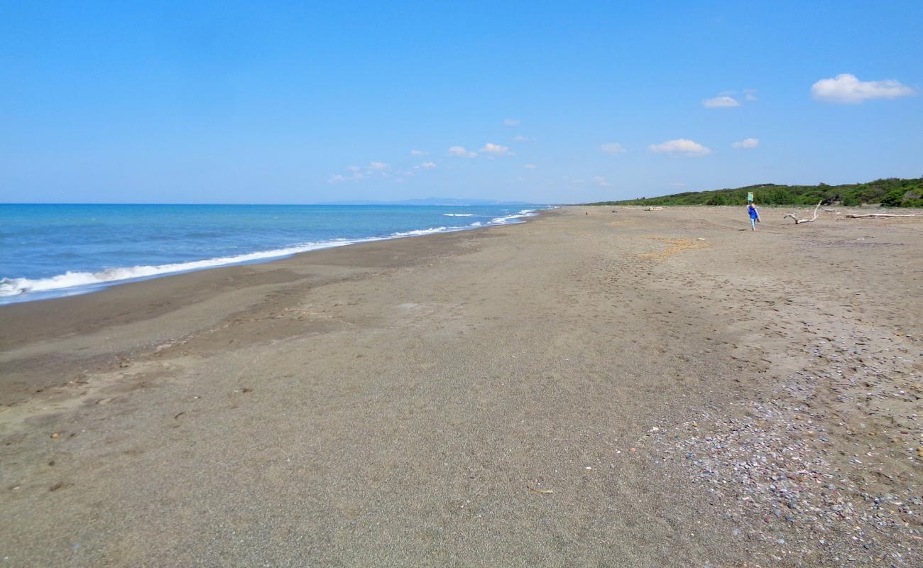 Spiaggia Oasi di Bolgheri'in fotoğrafı kahverengi kum yüzey ile