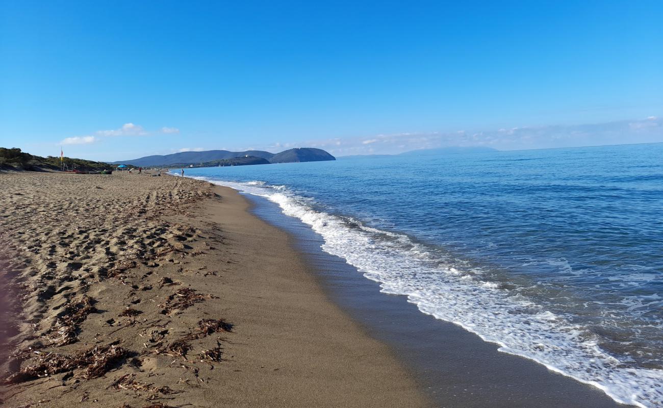 Spiaggia di Rimigliano II'in fotoğrafı kahverengi kum yüzey ile