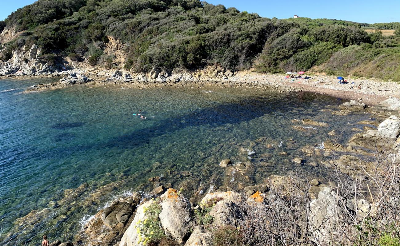 Pozzino Beach'in fotoğrafı gri çakıl taşı yüzey ile