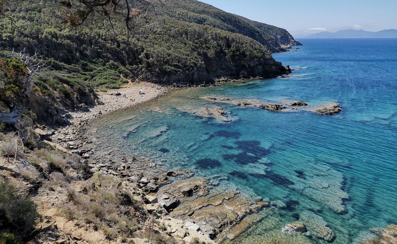 Cala San Quirico'in fotoğrafı kayalık arazi yüzey ile