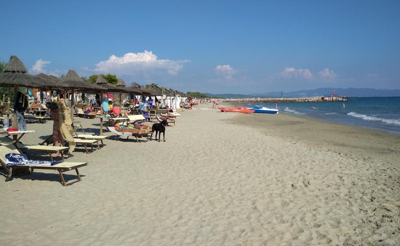 Carbonifera dog beach'in fotoğrafı kahverengi kum yüzey ile