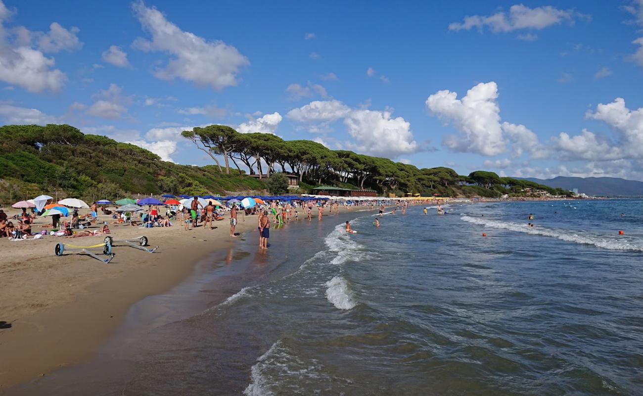 Follonica Plajı'in fotoğrafı kahverengi kum yüzey ile