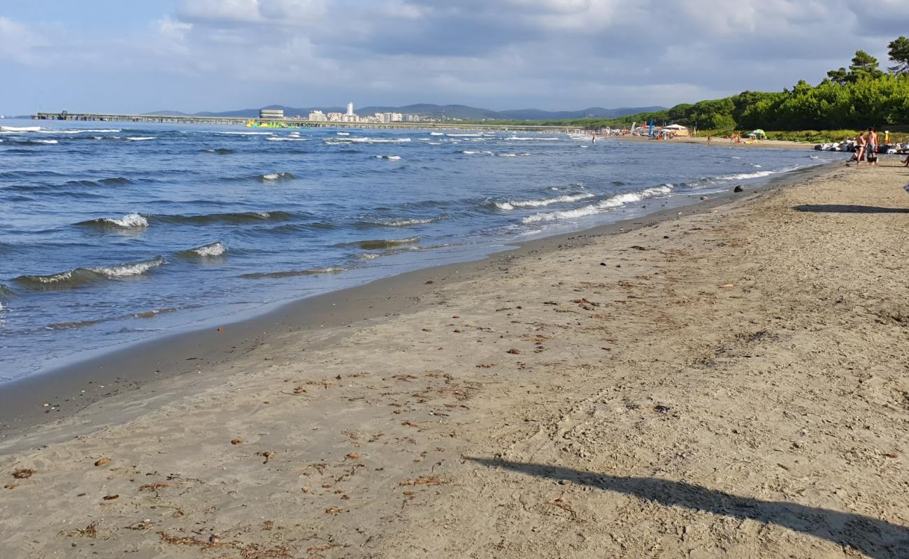 Puntone di Scarlino'in fotoğrafı kahverengi kum yüzey ile