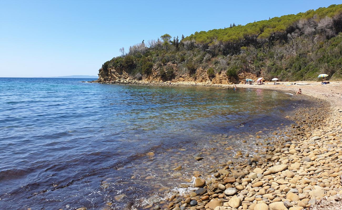 Cala Martina'in fotoğrafı taşlar yüzey ile