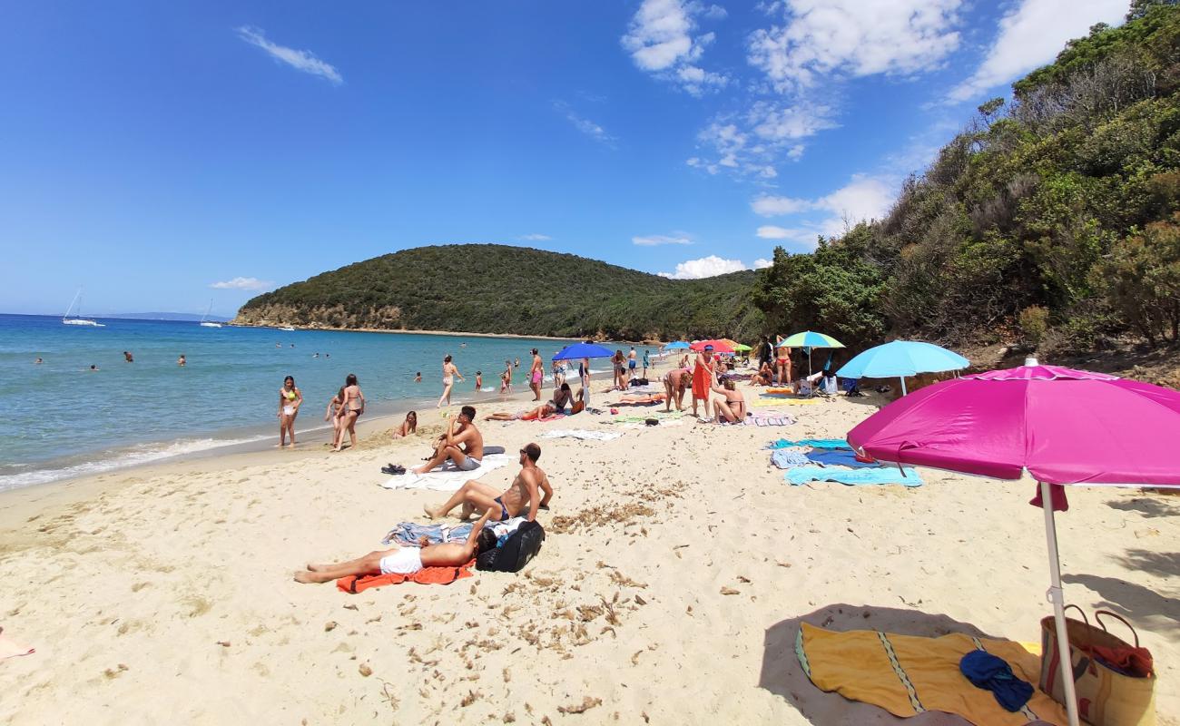 Cala Violina'in fotoğrafı kahverengi kum yüzey ile