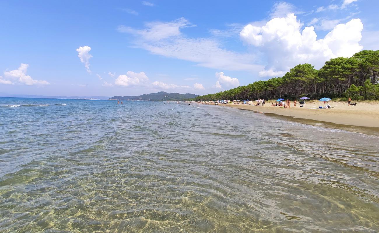Punta Ala Beach'in fotoğrafı açık bej kum yüzey ile