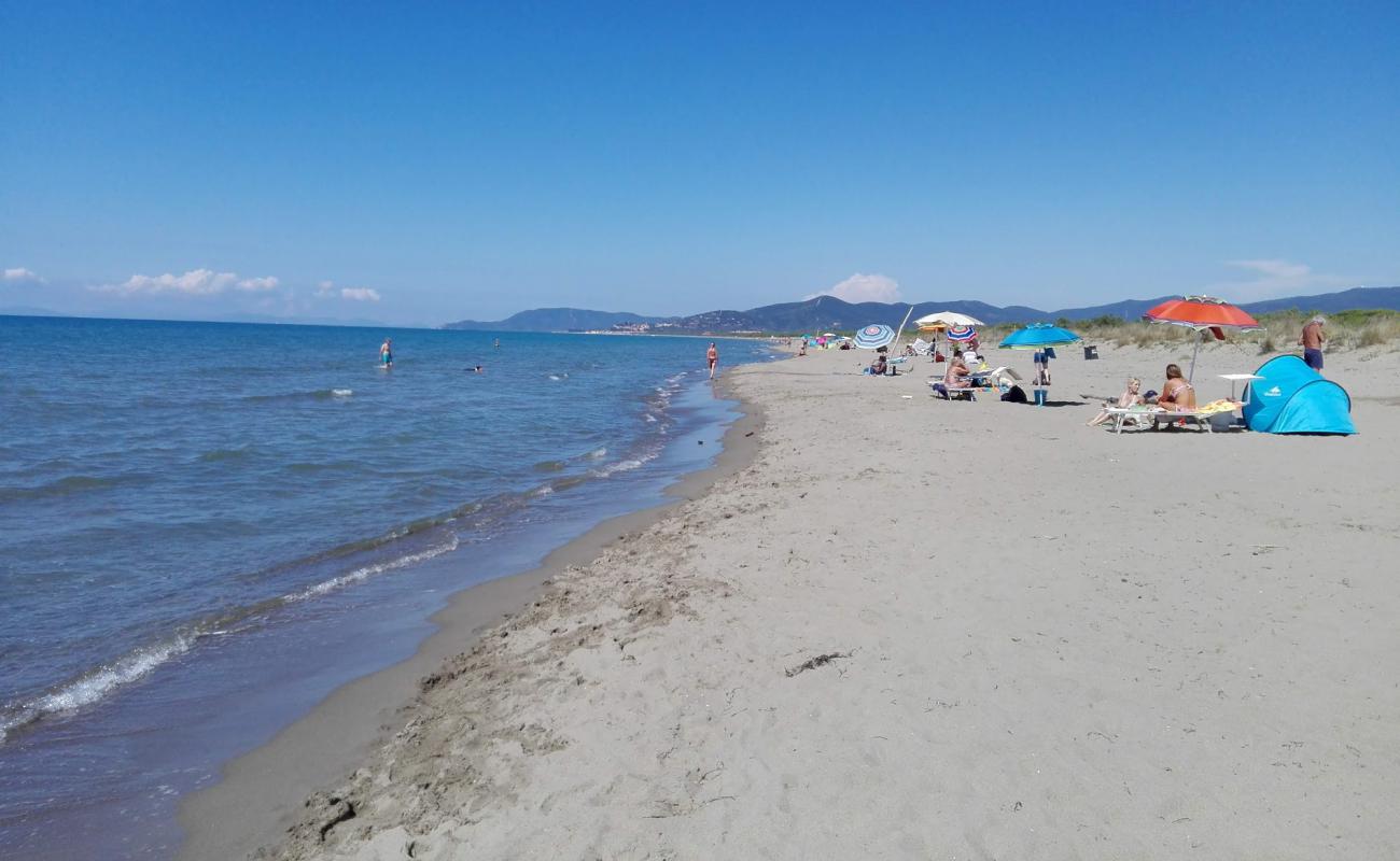 Sunset Beach'in fotoğrafı kahverengi kum yüzey ile