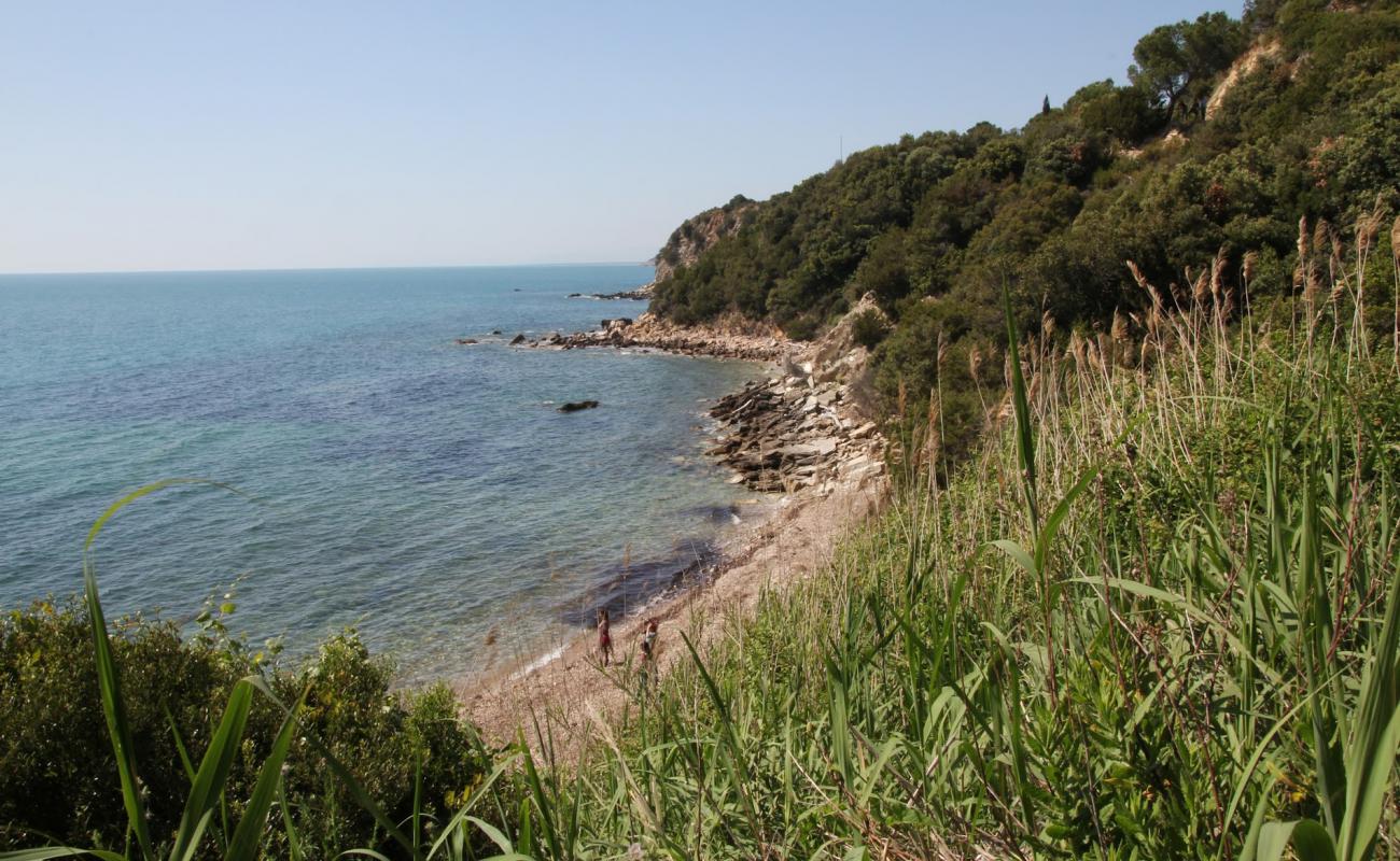 Cannelle Beach'in fotoğrafı kayalık arazi yüzey ile