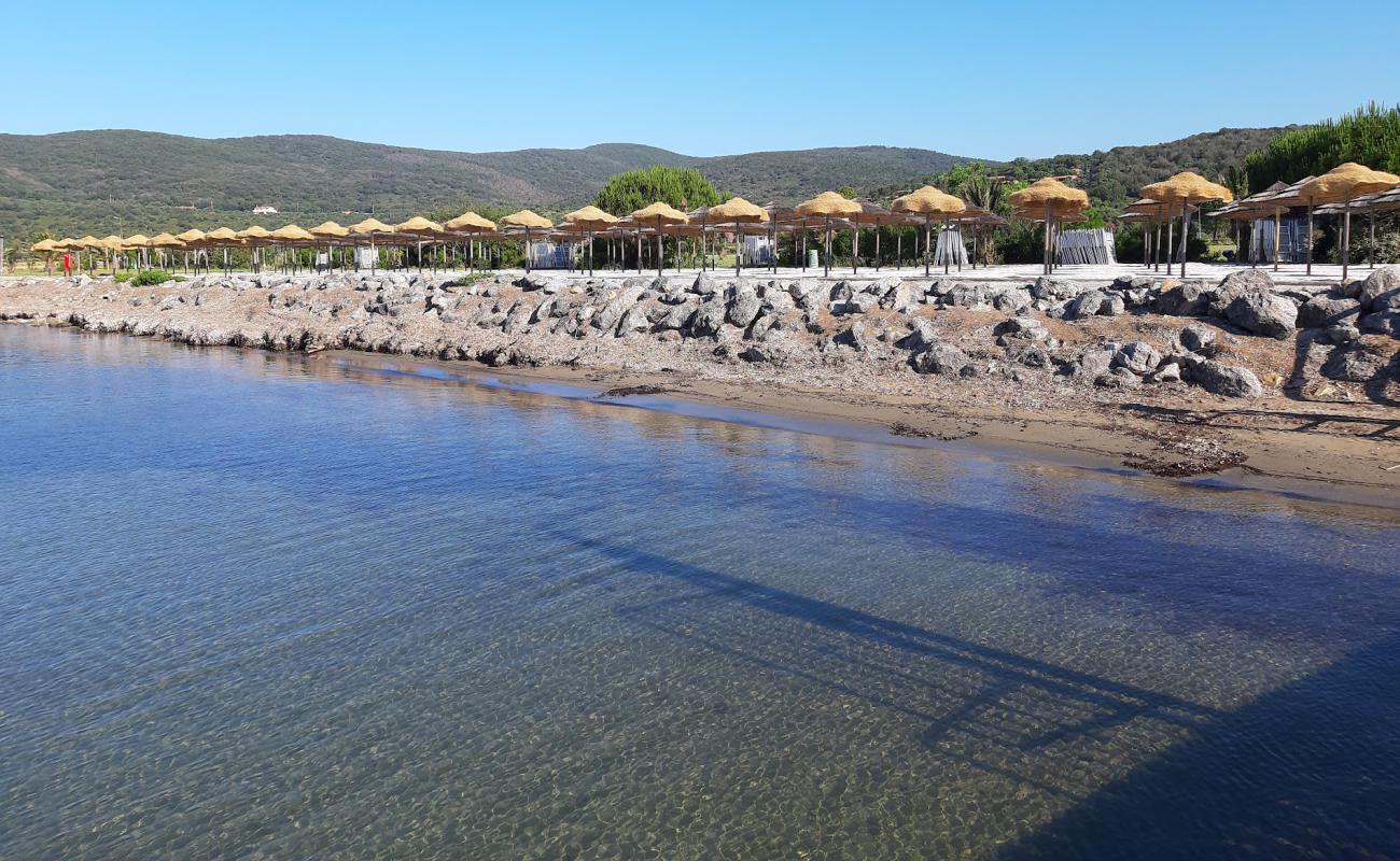 Spiaggia Molo di Talamone'in fotoğrafı taşlı kum yüzey ile