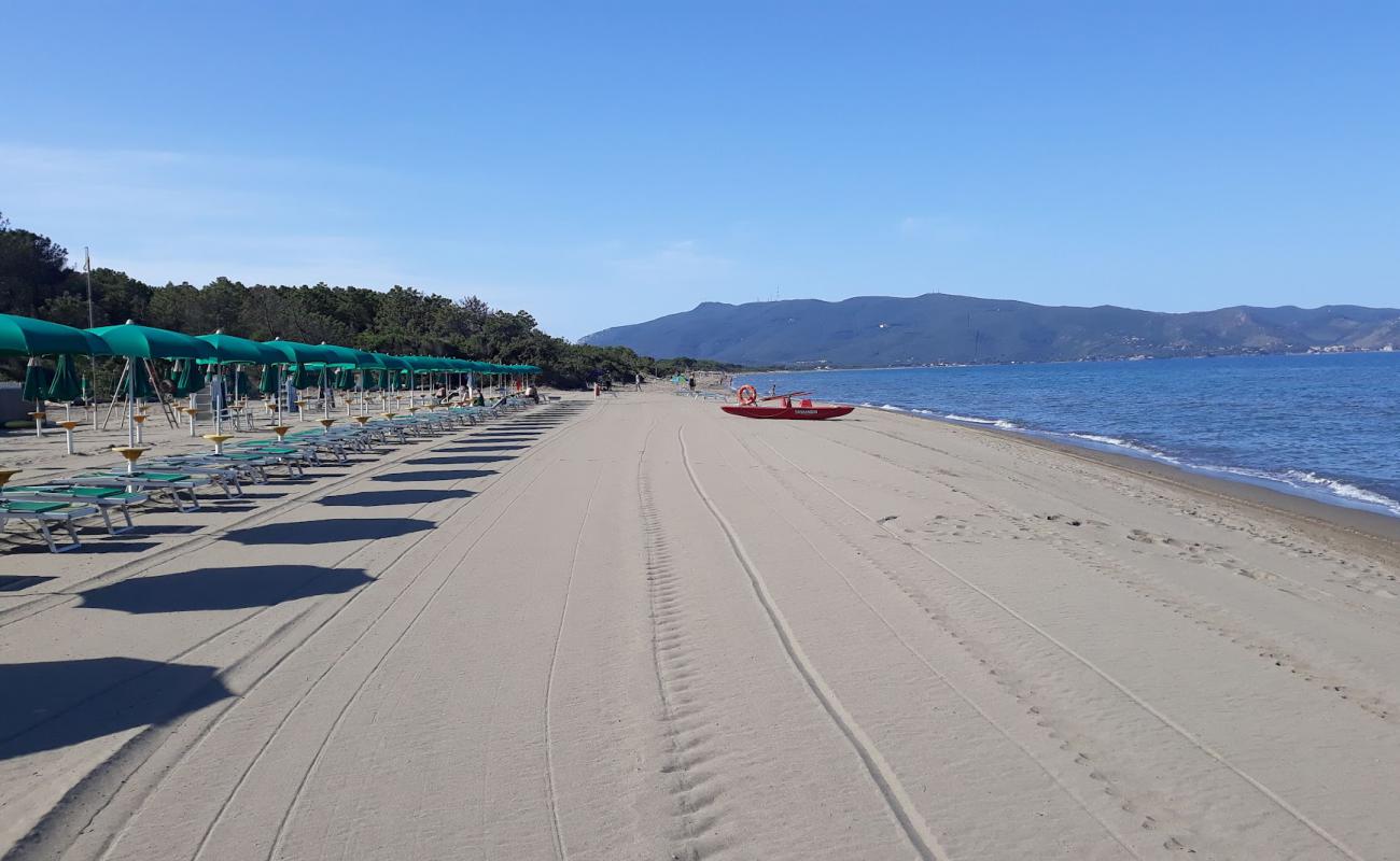 Spiaggia Florenzo'in fotoğrafı kahverengi kum yüzey ile