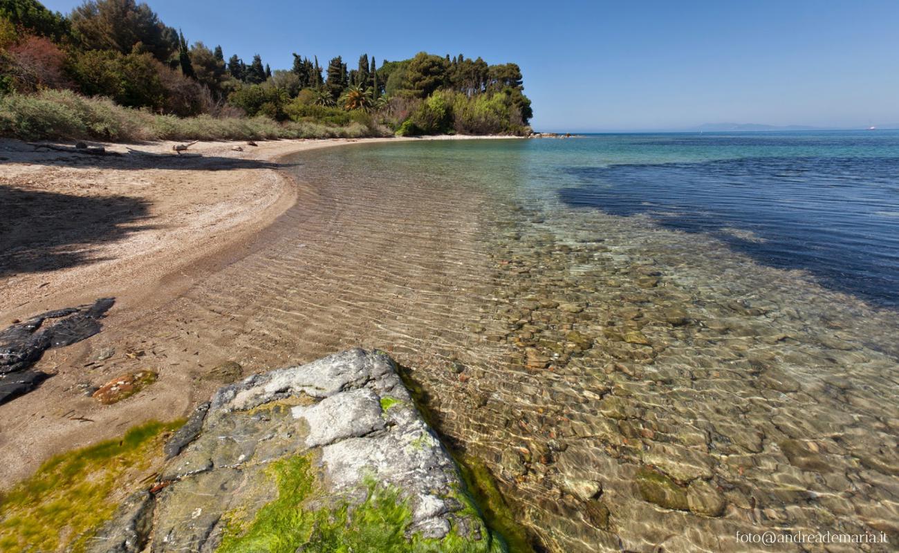 Spaggia di Domiziano'in fotoğrafı kahverengi kum yüzey ile