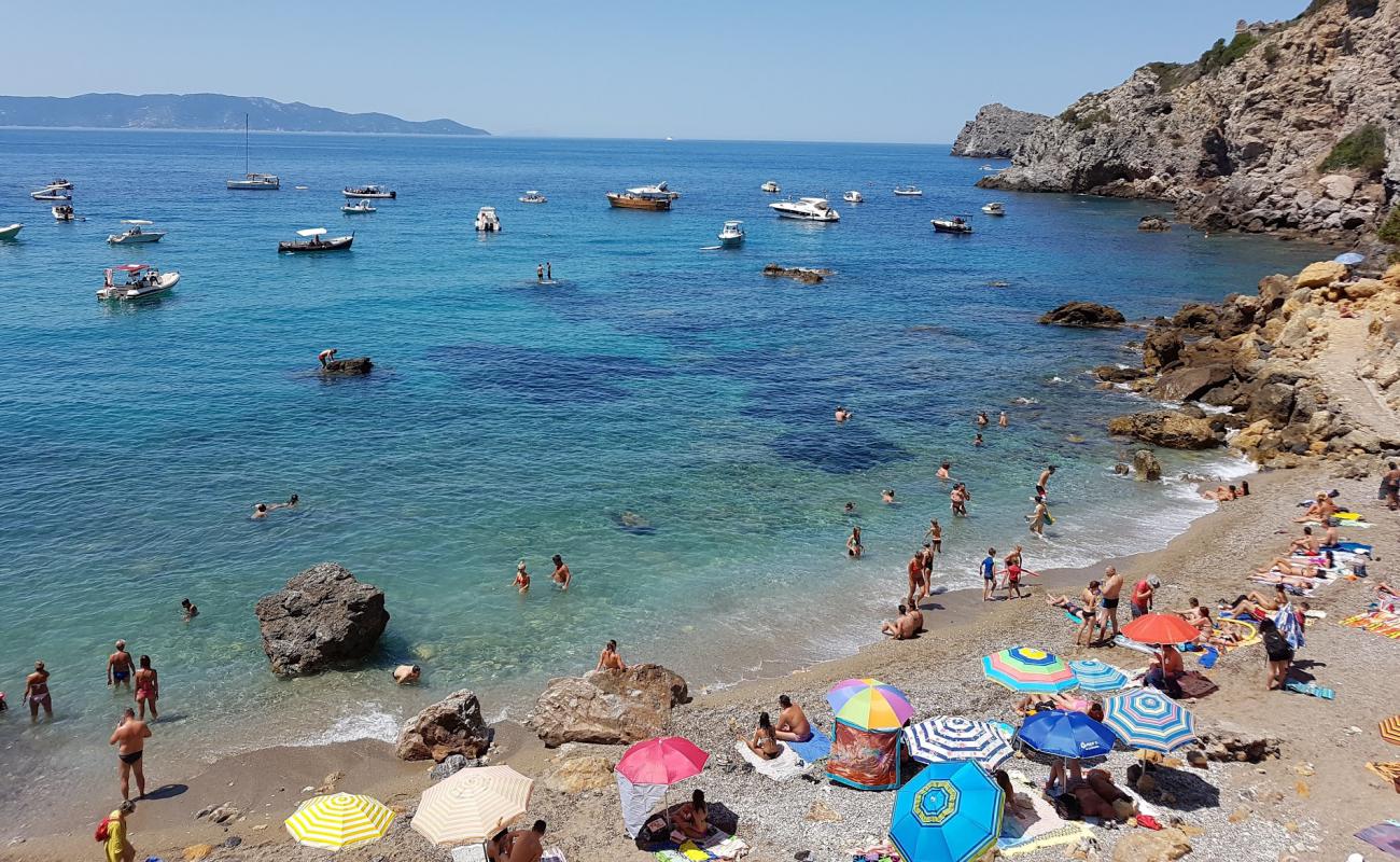 Cala del Gesso'in fotoğrafı gri çakıl taşı yüzey ile