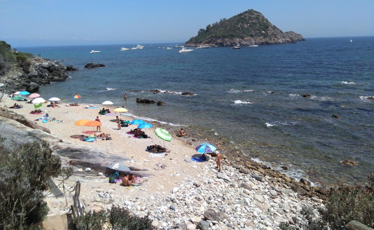 Spiaggia Le Pilette'in fotoğrafı bej çakıl yüzey ile