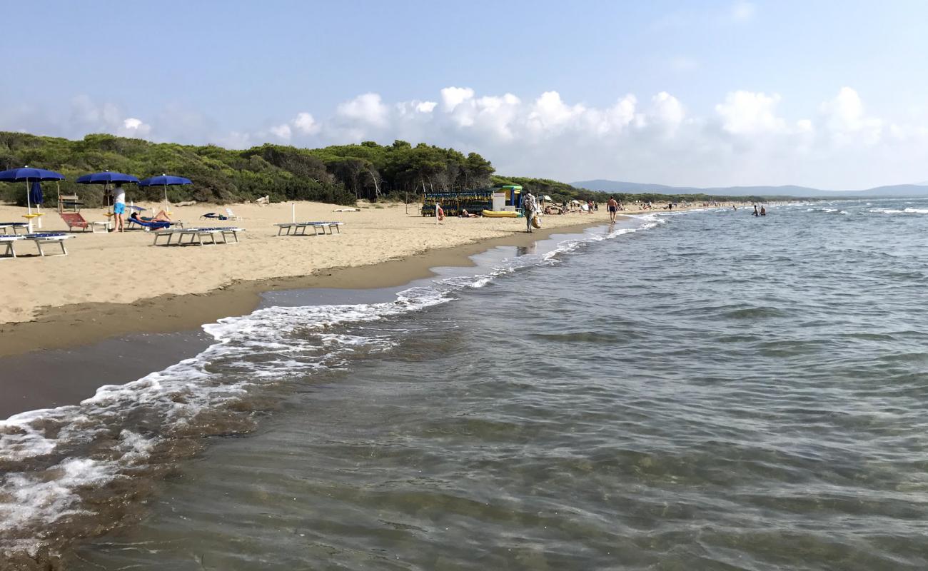 Spiaggia della Feniglia'in fotoğrafı kahverengi kum yüzey ile