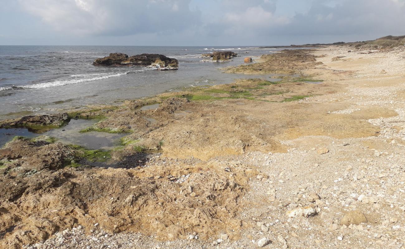 Spiaggia Valdaliga'in fotoğrafı kayalık arazi yüzey ile