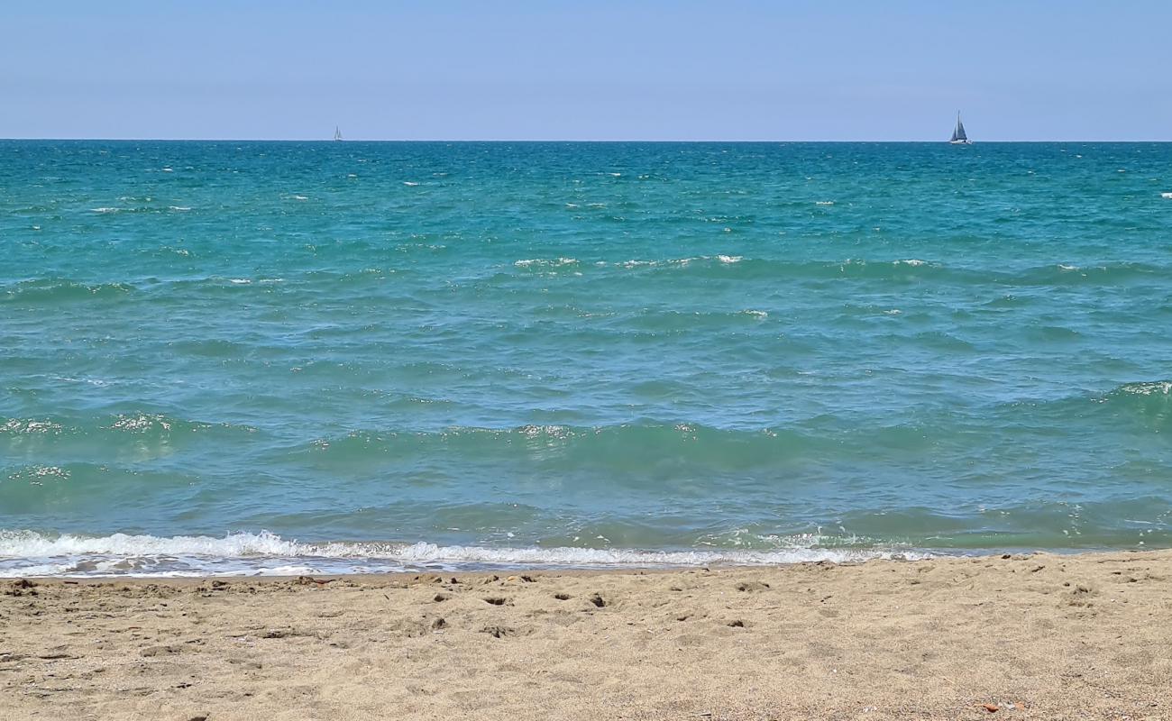 Focene Beach II'in fotoğrafı kahverengi kum yüzey ile