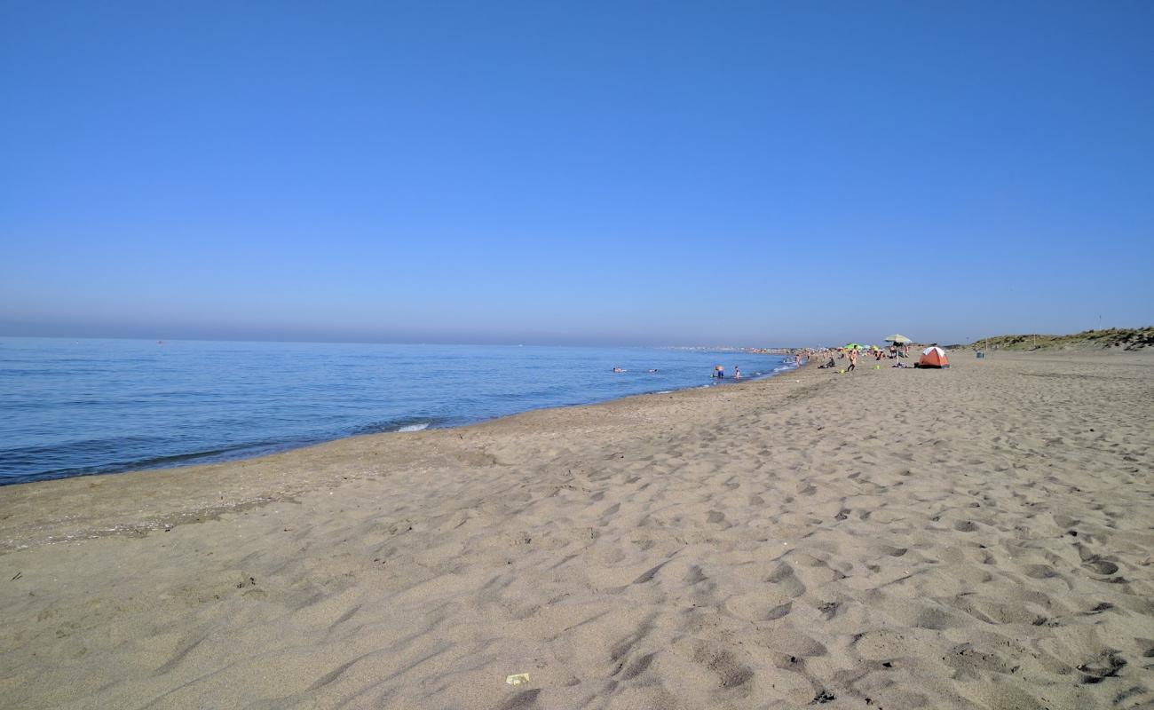 Castel Porziano beach'in fotoğrafı kahverengi kum yüzey ile