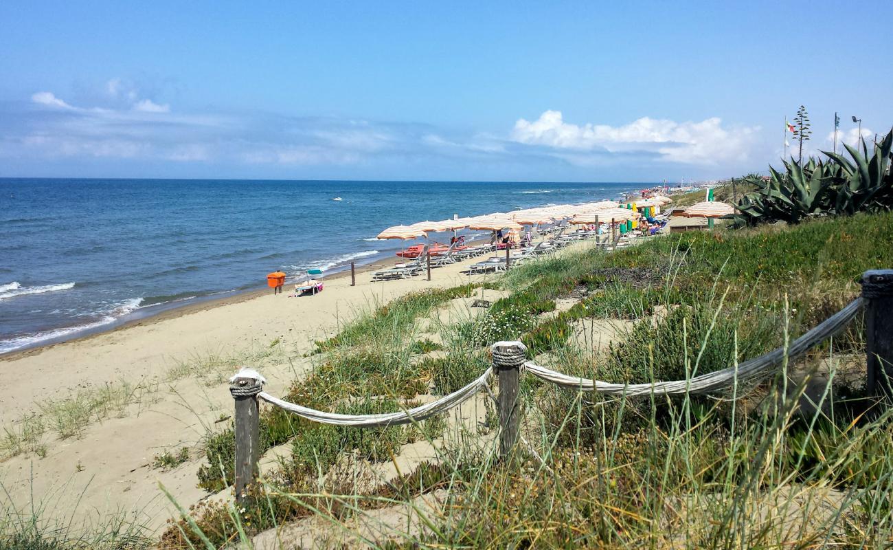 Spiaggia delle Sterlizie'in fotoğrafı açık bej kum yüzey ile