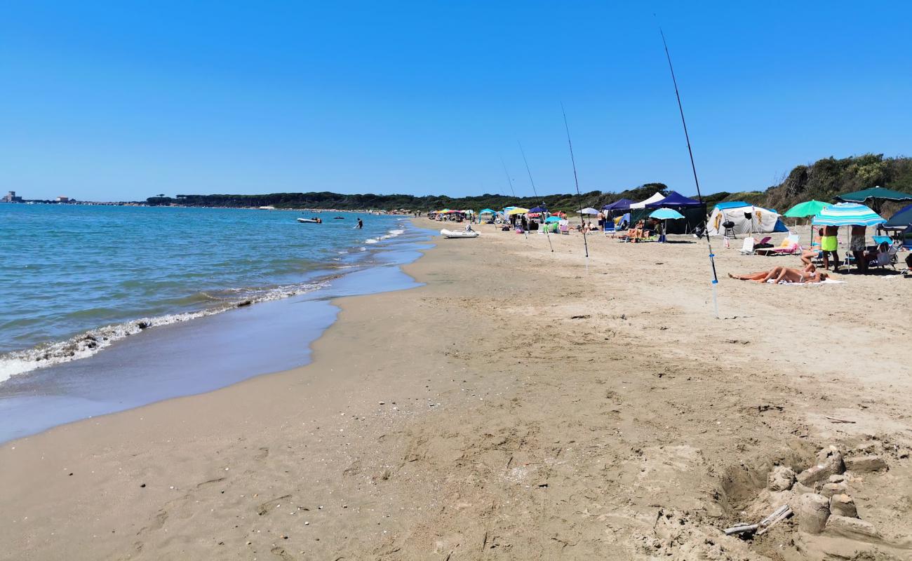 Spiaggia di Valmontorio'in fotoğrafı kahverengi kum yüzey ile