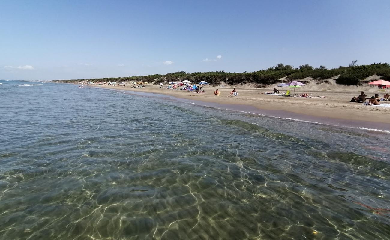 Spiaggia Sabaudia'in fotoğrafı kahverengi kum yüzey ile