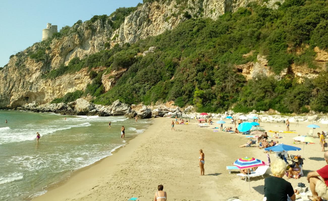 Porto di San Felice'in fotoğrafı i̇nce kahverengi kum yüzey ile