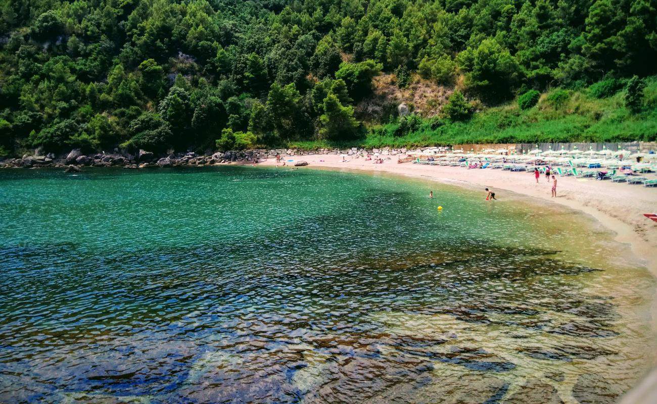 Spiaggia dei Sassolini'in fotoğrafı koyu i̇nce çakıl yüzey ile