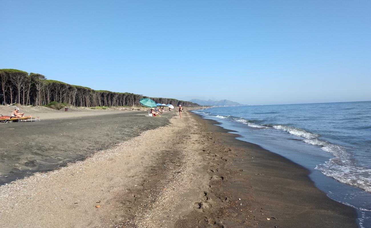 Camping La Foce beach'in fotoğrafı kahverengi kum yüzey ile