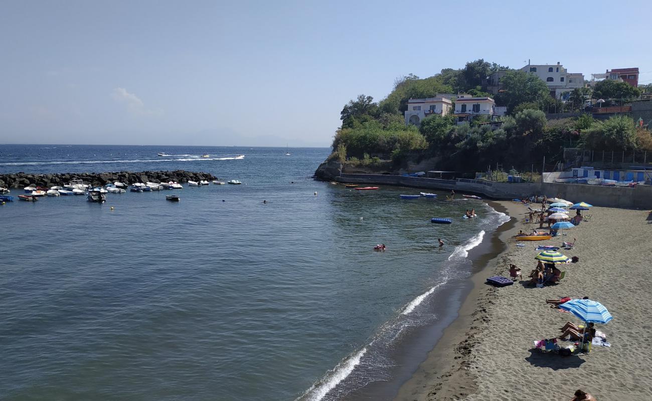 Poggio Beach'in fotoğrafı kahverengi kum yüzey ile
