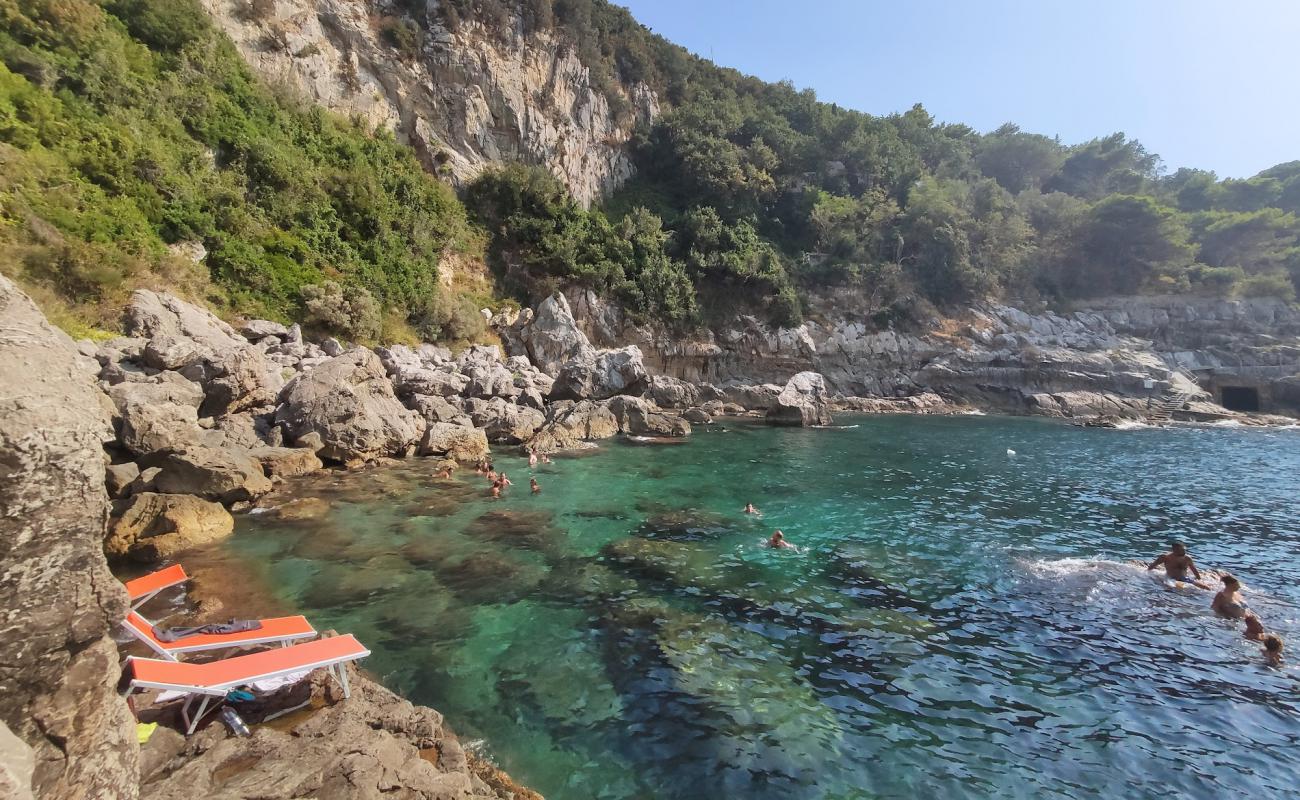 Playa de Capitan Cook'in fotoğrafı rocky shore yüzey ile