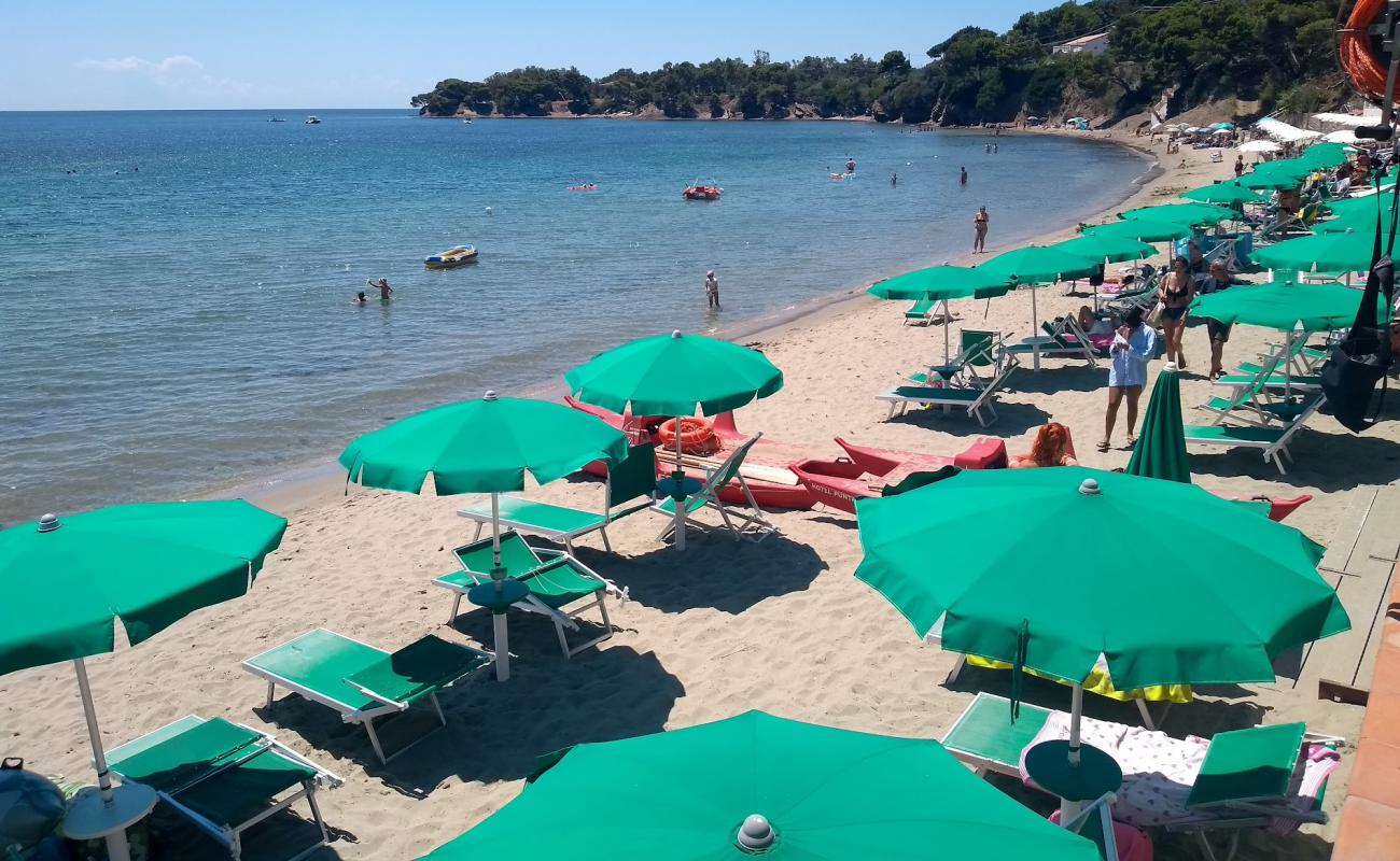 Spiaggia di Ogliastro Marina'in fotoğrafı açık bej kum yüzey ile