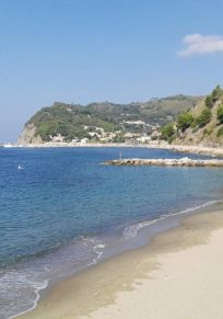 Agnone