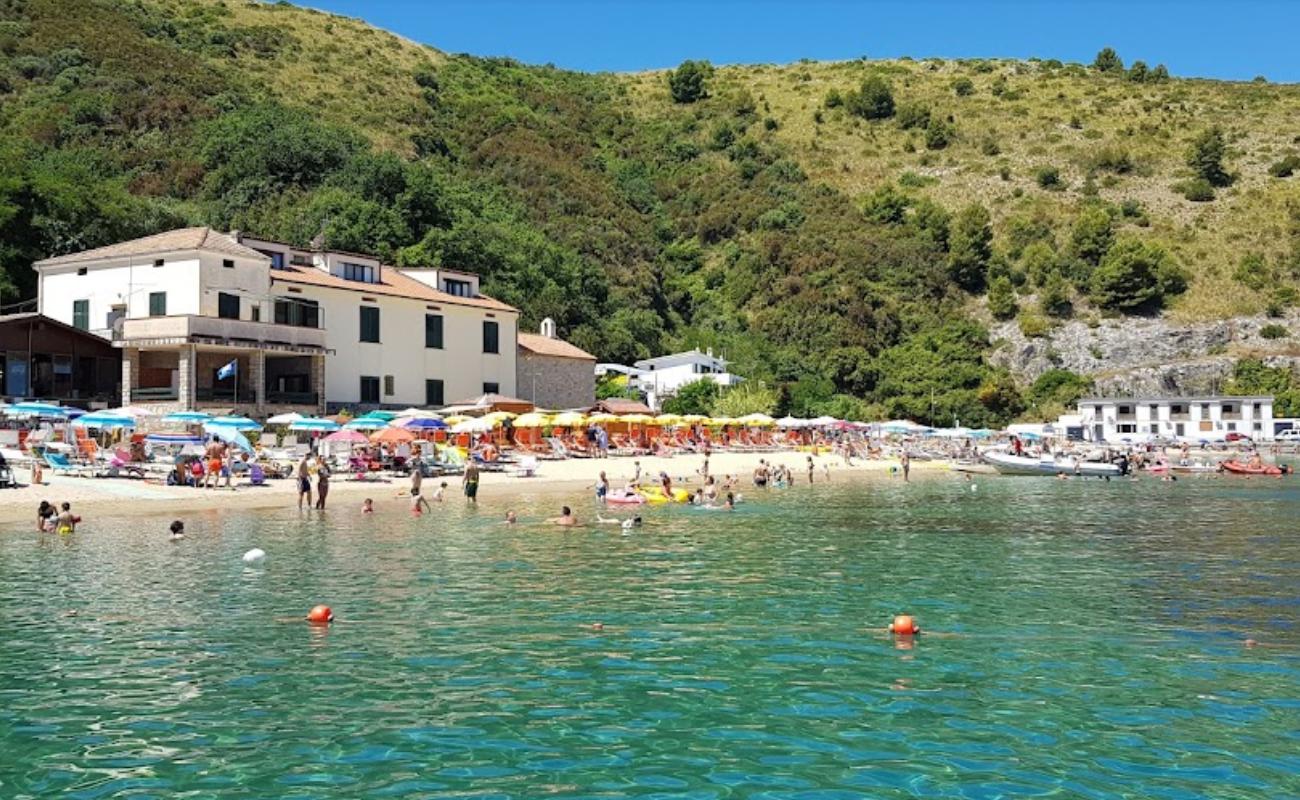 Spiaggia del Porto'in fotoğrafı i̇nce bej kum yüzey ile