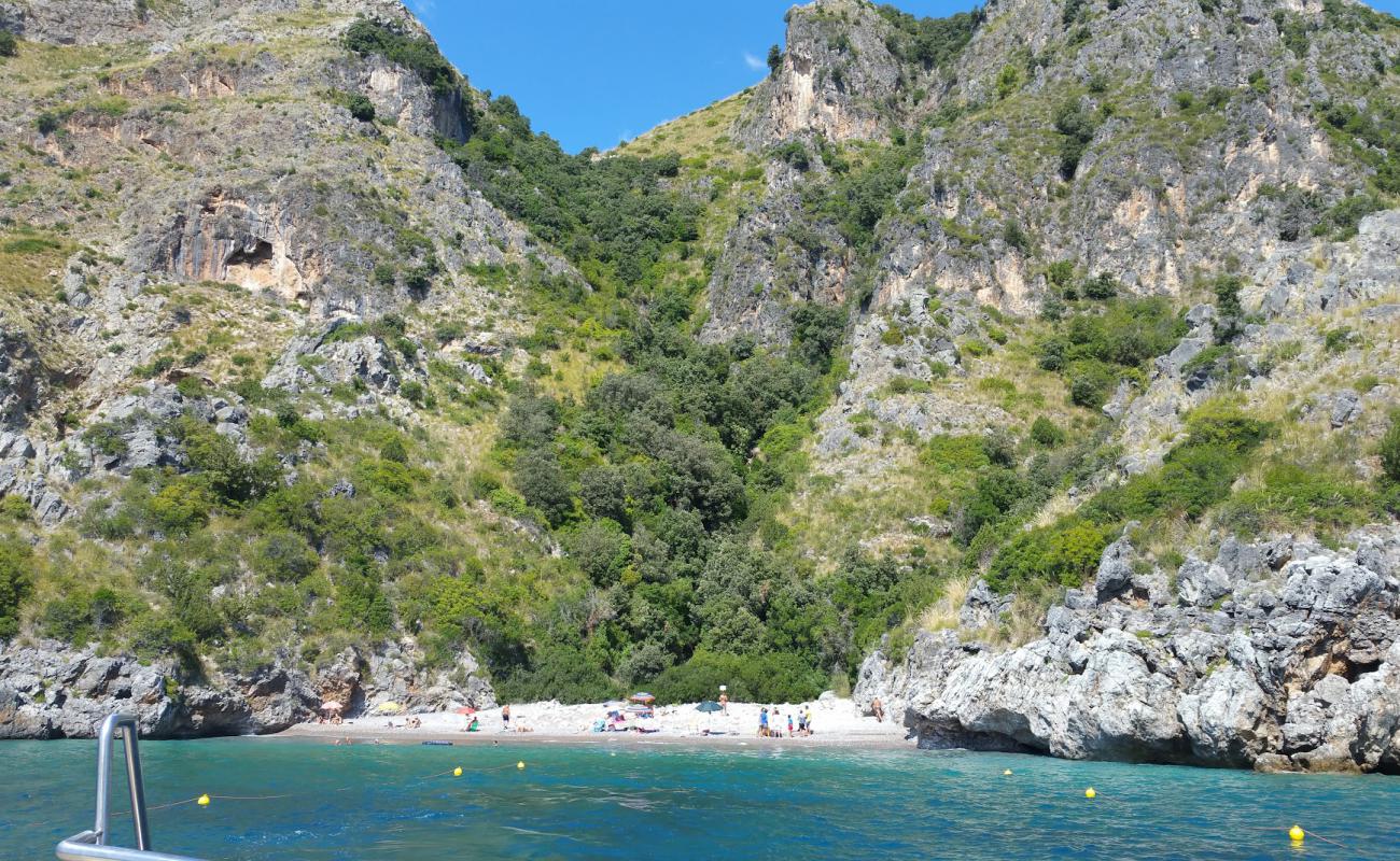 Spiaggia del Marcellino'in fotoğrafı kayalık arazi yüzey ile
