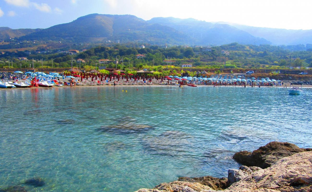 Palm beach'in fotoğrafı gri kum yüzey ile
