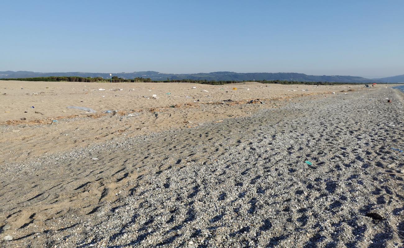 Maida Marina beach'in fotoğrafı gri kum yüzey ile