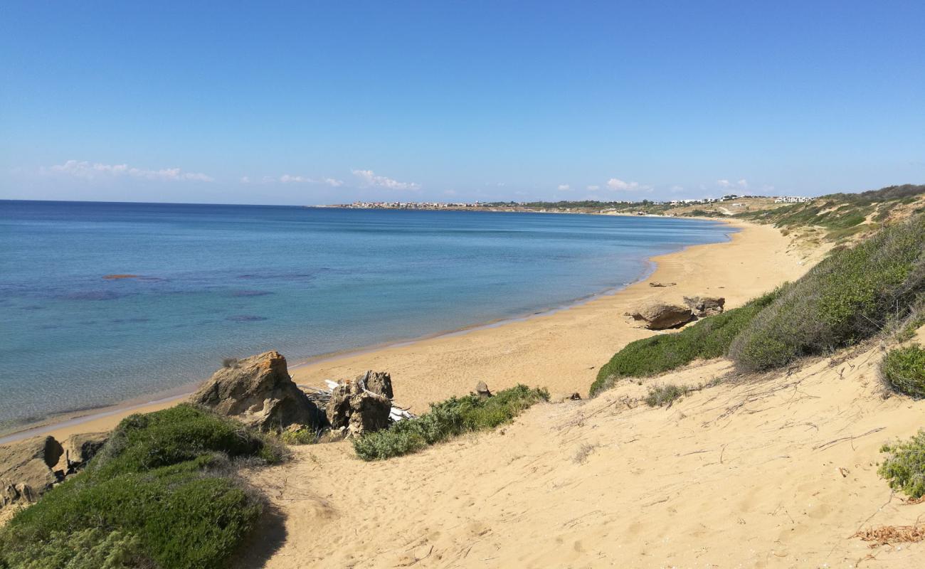 Spiaggia dei Gigli'in fotoğrafı kahverengi kum yüzey ile