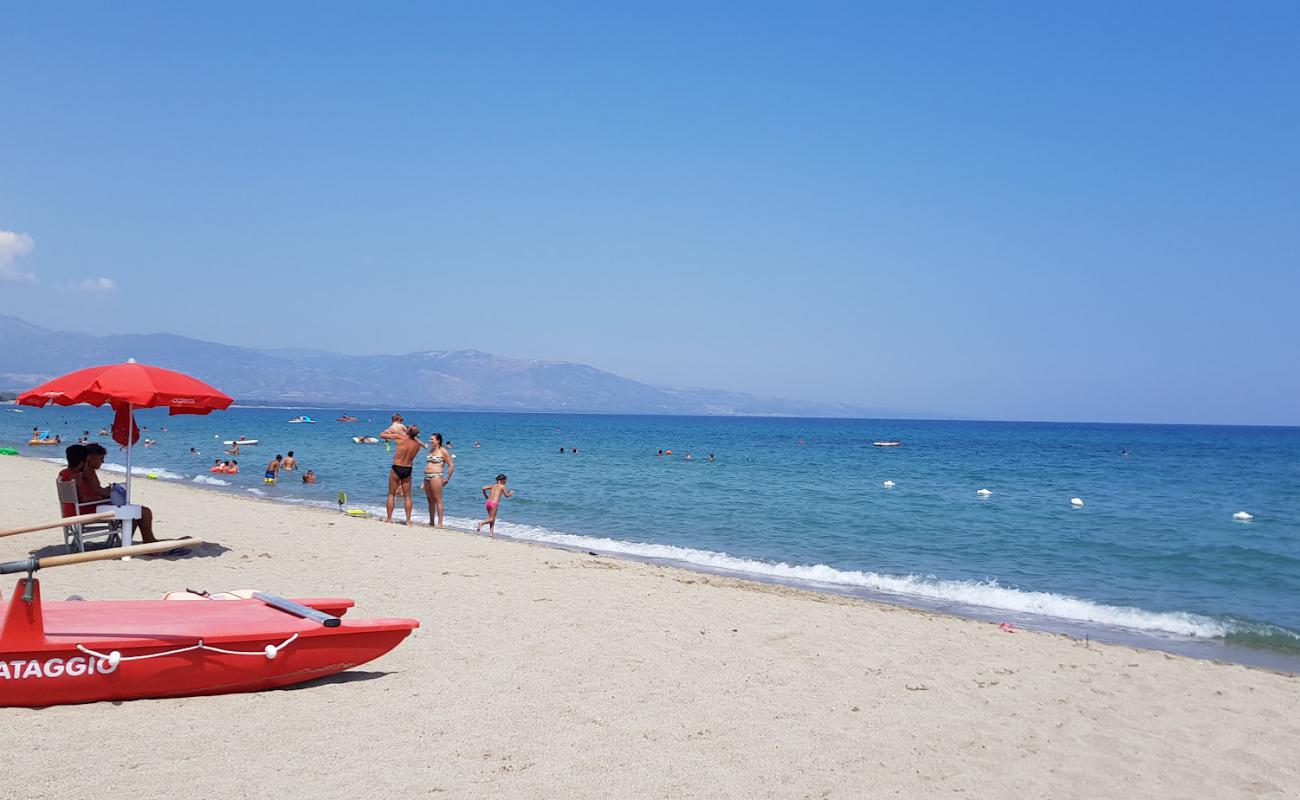 Papagayo Plajı'in fotoğrafı parlak kum yüzey ile