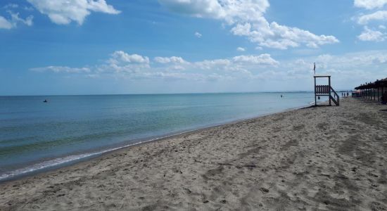 Ippocampo Beach