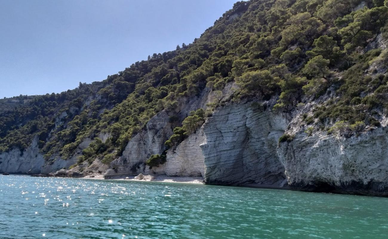 Baia delle Pietre Nere'in fotoğrafı küçük bej çakıl yüzey ile